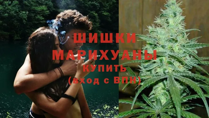 площадка наркотические препараты  Тюмень  Бошки марихуана SATIVA & INDICA 